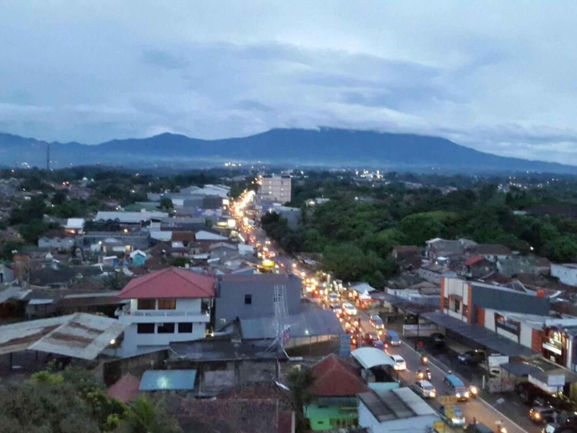 Agria Hotel โบกอร์ ภายนอก รูปภาพ